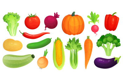 Cartoon vegetables. Fresh vegan veggies, raw vegetable green zucchini