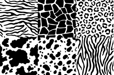 Animal skin pattern. Wildlife zebra texture, tiger skin stripes and le