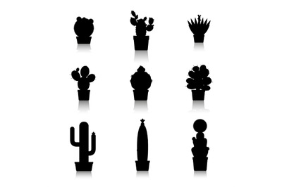 Cactus silhouettes on white background