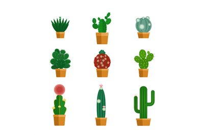 Cactus icons in flat style