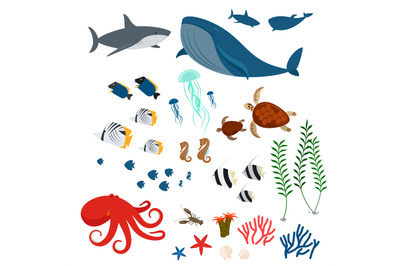 Ocean animals and fishes