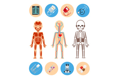 Medical infographics elements