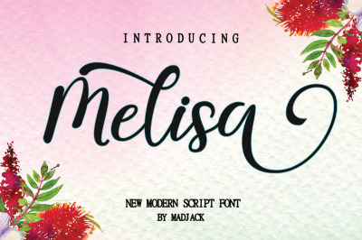 Melisa Script