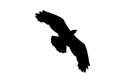 Eagle icon