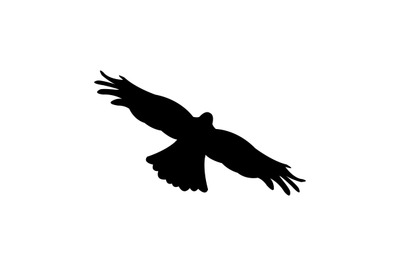 Eagle icon