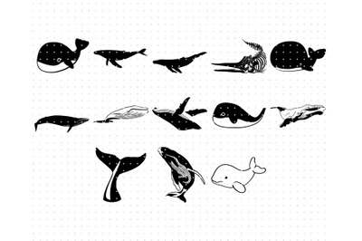 whale svg, svg files, vector, clipart, cricut, download