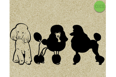 poodle svg, svg files, vector, clipart, cricut, download