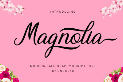 Pink Margarita A Fun Handwritten Font By Ka Designs Thehungryjpeg Com