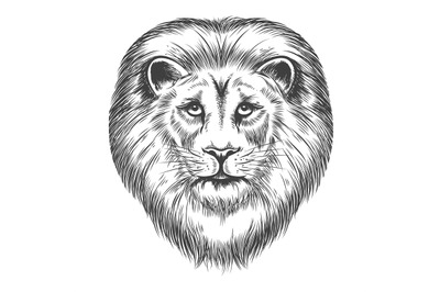 Hand Drawn Lion Head