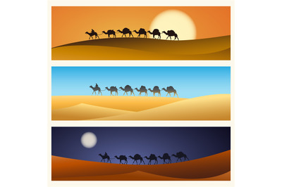 Caravan of camels in desert