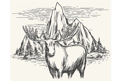 Hand drawn landscape with moose