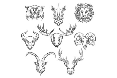 Wild animals hand drawn heads