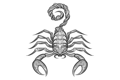 Vector scorpion zentangle icon