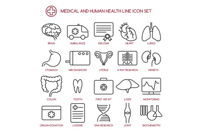 Medicine and human health line icons