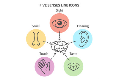 Five senses line icons