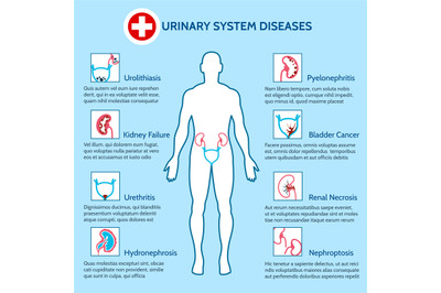 Urinary system diseases