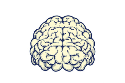 Human brain hand drawn icon