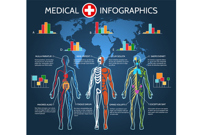 Human Body Anatomy Infographic