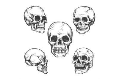 Hand drawn skulls