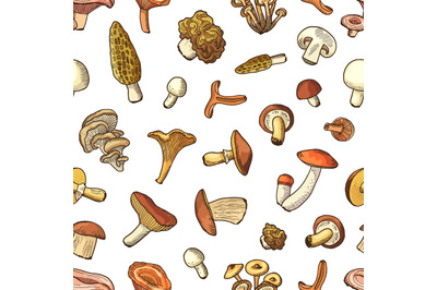 Vector hand drawn mushrooms background or pattern illustration