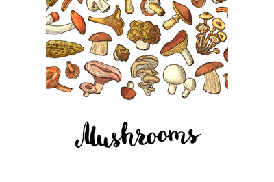 Vector hand drawn mushrooms background illustration. Menu pattern