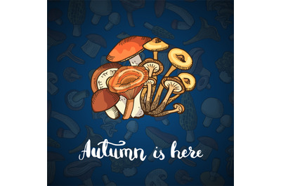 Vector hand drawn mushrooms background illustration