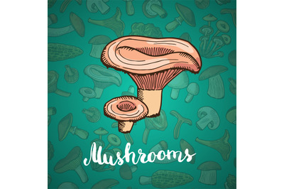 Vector hand drawn mushrooms background illustration