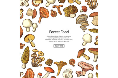 Vector hand drawn mushrooms background with place for text illustratio