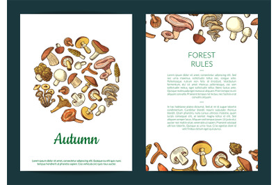 Vector hand drawn mushrooms card&2C; flyer or brochure template illustrat