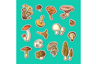 Vector hand drawn mushrooms stickers set illustration