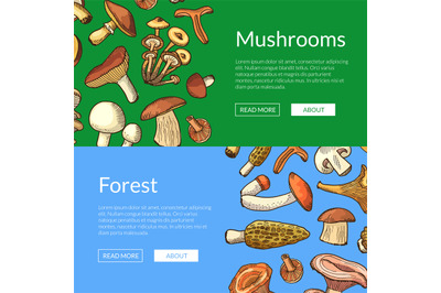 Vector hand drawn mushrooms horizontal banners