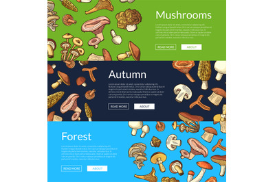 Vector hand drawn fresh edible mushrooms banners illustration