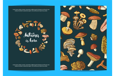 Vector hand drawn mushrooms card, flyer or brochure template illustrat