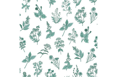 Vector hand drawn medical herbs pattern or background illustration