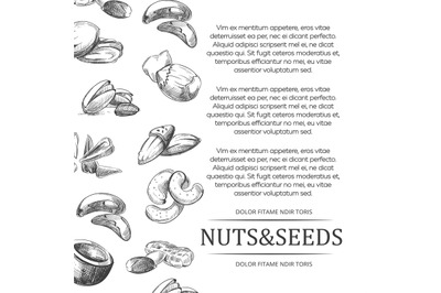 Banner or poster with hand sketched nuts and seeds