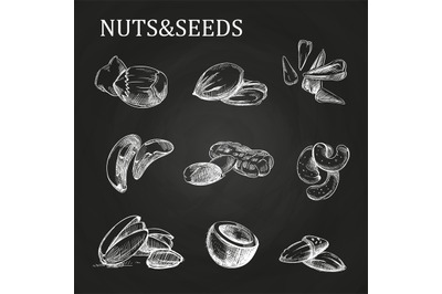 Nuts and seeds sketch on chalkboard