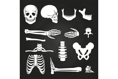 Human bones collection on chalkboard