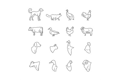 Farm animal and birds thin line icons