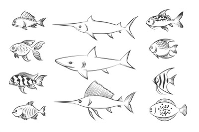 Painted fishes set vector illustration