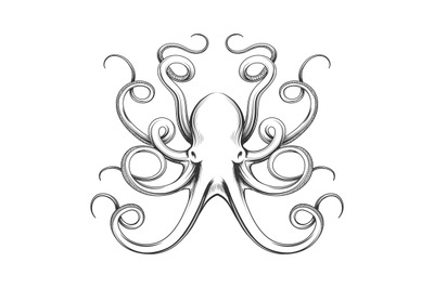 Engraved octopus vector icon