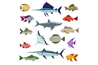 Colored fish vector icons