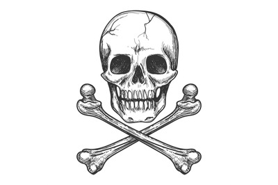 Skull and crossbones vector illustration