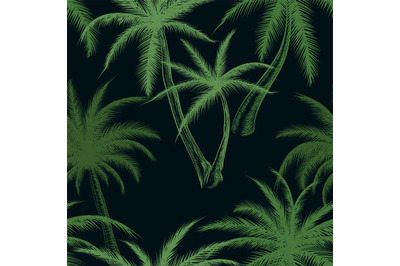 Tropical palm trees leaf pattern