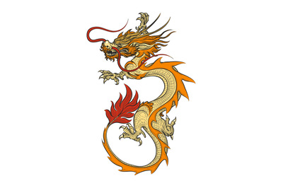 Asian dragon vector illustration