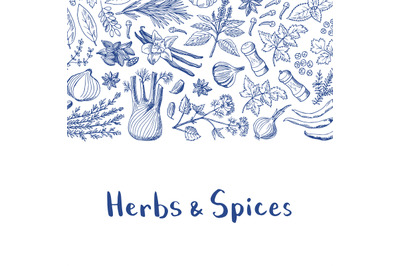 Vector hand drawn herbs and spices background with place for text illu