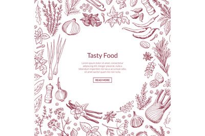 Vector hand drawn herbs and spices background with place for text illu