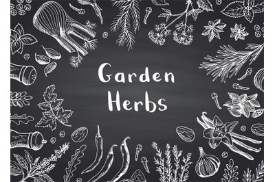 Vector hand drawn herbs and spices on black chalkboard background with