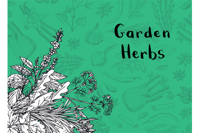 Vector hand drawn herbs and spices background