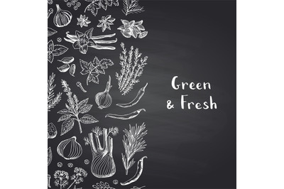 Vector hand drawn herbs and spices on black chalkboard background with