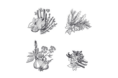 Vector hand drawn herbs and spices piles set illustration